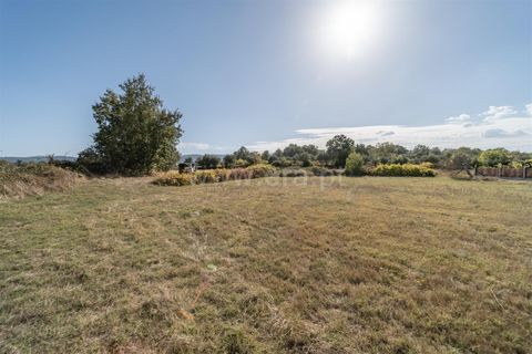 Terra a Fundao, Castelo Branco, Fundao - € 110.000 | Ref: 255250171 - foto 3