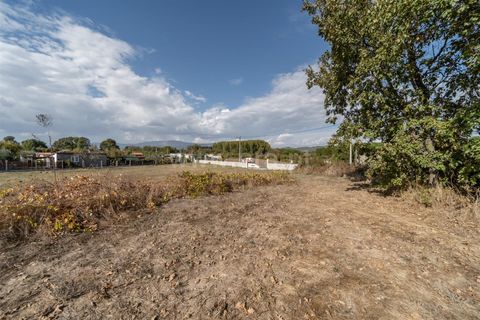 Terra a Fundao, Castelo Branco, Fundao - € 110.000 | Ref: 255250171 - foto 5