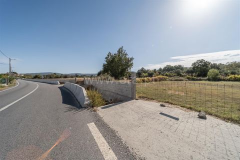 Terra a Fundao, Castelo Branco, Fundao - € 110.000 | Ref: 255250171 - foto 6
