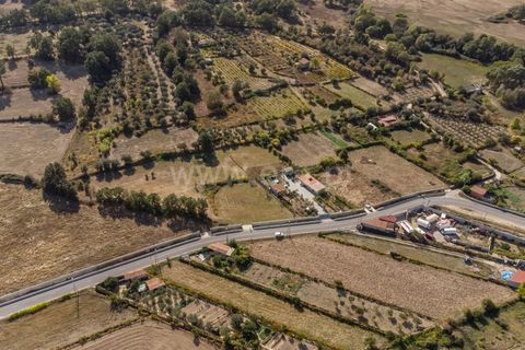 Terra a Fundao, Castelo Branco, Fundao - € 110.000 | Ref: 255250171 - foto 8