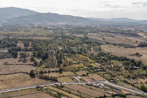 Terra a Fundao, Castelo Branco, Fundao - € 110.000 | Ref: 255250171 - foto 9