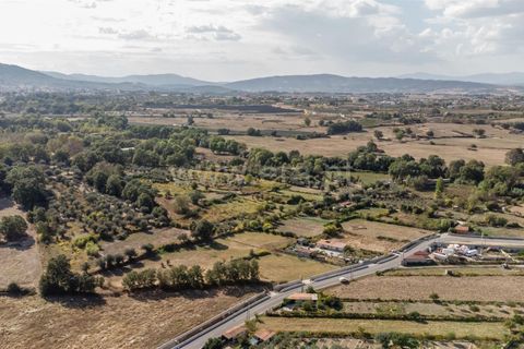 Terra a Fundao, Castelo Branco, Fundao - € 110.000 | Ref: 255250171 - foto 11