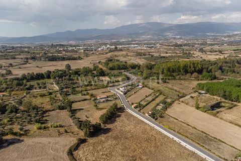 Terra a Fundao, Castelo Branco, Fundao - € 110.000 | Ref: 255250171 - foto 12