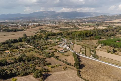 Terra a Fundao, Castelo Branco, Fundao - € 110.000 | Ref: 255250171 - foto 13