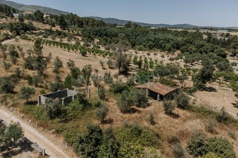 Landejendom i Fundao, Castelo Branco, Fundao - € 42.500 | Ref: 255250105 - foto 5