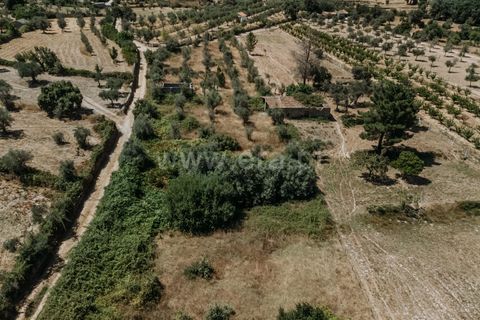 Landejendom i Fundao, Castelo Branco, Fundao - € 42.500 | Ref: 255250105 - foto 7