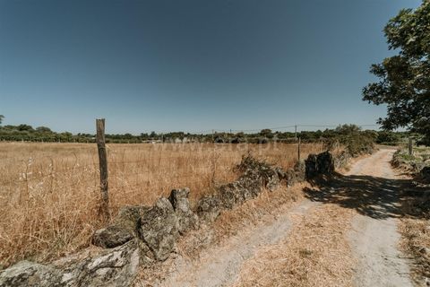 Landejendom i Fundao, Castelo Branco, Fundao - € 42.500 | Ref: 255250105 - foto 8