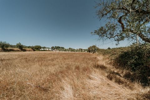 Landejendom i Fundao, Castelo Branco, Fundao - € 42.500 | Ref: 255250105 - foto 12