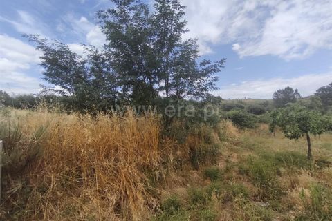 Helårsgrund i Fundao, Castelo Branco, Fundao - € 27.500 | Ref: 255250110 - foto 2