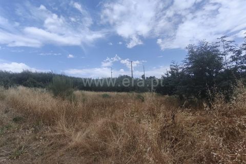 Helårsgrund i Fundao, Castelo Branco, Fundao - € 27.500 | Ref: 255250110 - foto 3
