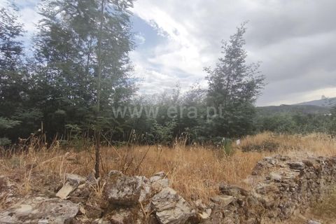 Helårsgrund i Fundao, Castelo Branco, Fundao - € 27.500 | Ref: 255250110 - foto 4