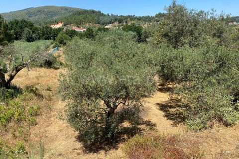 Tomt i Fundao, Castelo Branco, Fundao - € 9 000 | Ref: 255250152 - foto 2