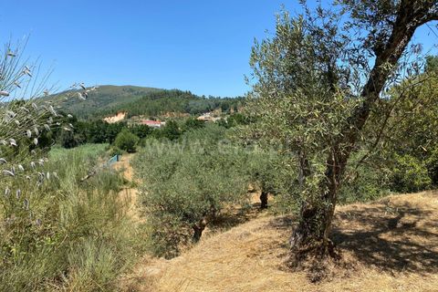 Tomt i Fundao, Castelo Branco, Fundao - € 9 000 | Ref: 255250152 - foto 3