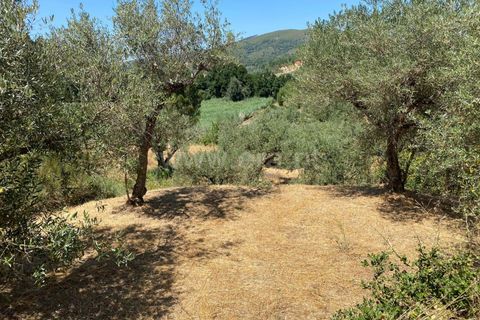 Tomt i Fundao, Castelo Branco, Fundao - € 9 000 | Ref: 255250152 - foto 4