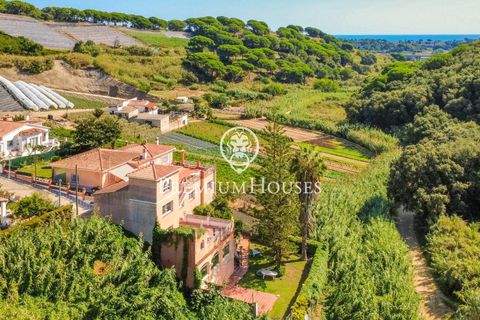 Villa i Calella, Barcelona, Calella - € 430.000 | Ref: PH103601/3699 - foto 27