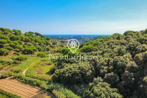 Villa i Calella, Barcelona, Calella - € 430.000 | Ref: PH103601/3699 - foto 28