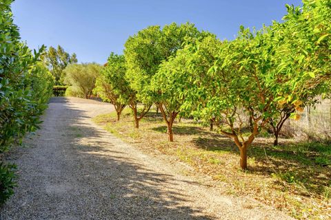 Villa i Saint-Tropez, Var, Saint-Tropez - € 5.400.000 | Ref: HH-15943877 - foto 4