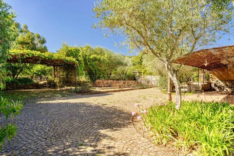 Villa i Saint-Tropez, Var, Saint-Tropez - € 5.400.000 | Ref: HH-15943877 - foto 6