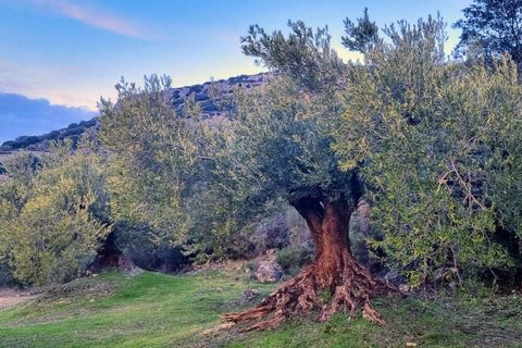 Byhus i Zuheros, Cordoba, Zuheros - € 249.000 | Ref: ID4383 - foto 3