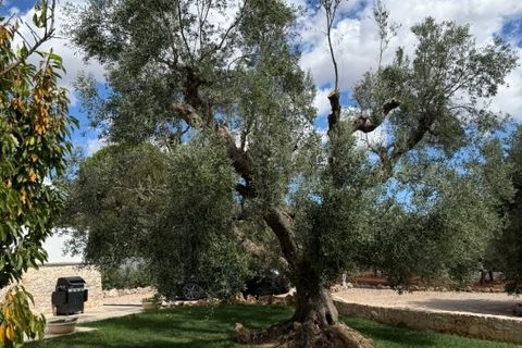 Villa a Ostuni, Brindisi, Ostuni - € 1.138.000 | Ref: es5557426 - foto 8