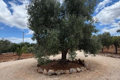 Villa a Ostuni, Brindisi, Ostuni - € 1.138.000 | Ref: es5557426 - foto 14