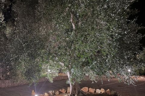 Villa a Ostuni, Brindisi, Ostuni - € 1.138.000 | Ref: es5557426 - foto 27