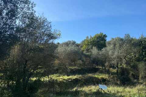 Helårsgrund i Sant'Arcangelo, Potenza, Sant'Arcangelo - € 29.000 | Ref: es5554388 - foto 3