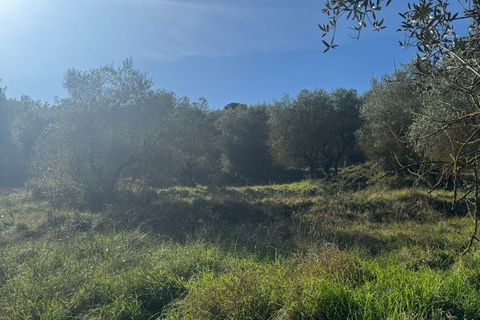Helårsgrund i Sant'Arcangelo, Potenza, Sant'Arcangelo - € 29.000 | Ref: es5554388 - foto 4