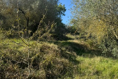 Helårsgrund i Sant'Arcangelo, Potenza, Sant'Arcangelo - € 29.000 | Ref: es5554388 - foto 8