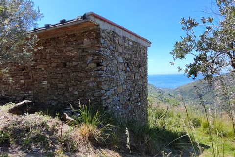 Villa i Serramezzana, Salerno, Serramezzana - € 95.000 | Ref: es5554070 - foto 4
