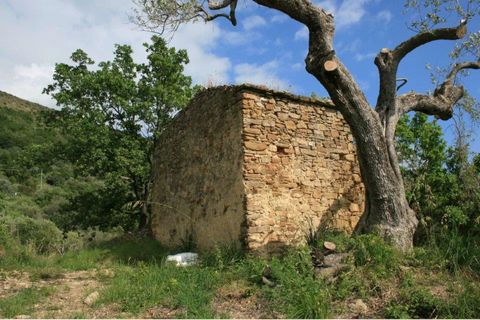 Villa i Serramezzana, Salerno, Serramezzana - € 95.000 | Ref: es5554070 - foto 47