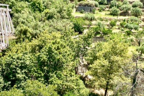 Villa a Graniti, Messina, Graniti - € 190.000 | Ref: es5553826 - foto 37