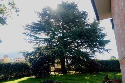 Villa a Palestrina, Rome, Palestrina - € 300.000 | Ref: es5553802 - foto 14