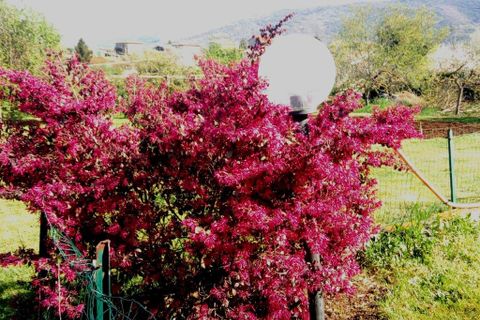 Villa a Palestrina, Rome, Palestrina - € 300.000 | Ref: es5553802 - foto 16
