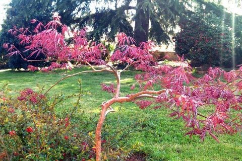 Villa a Palestrina, Rome, Palestrina - € 300.000 | Ref: es5553802 - foto 17
