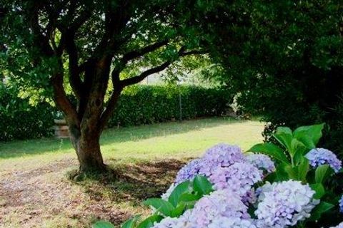 Villa a Palestrina, Rome, Palestrina - € 300.000 | Ref: es5553802 - foto 45