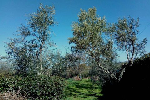 Villa a Palestrina, Rome, Palestrina - € 300.000 | Ref: es5553802 - foto 48