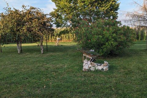 Villa a Torricella, Taranto, Torricella - € 210.000 | Ref: es5553790 - foto 17