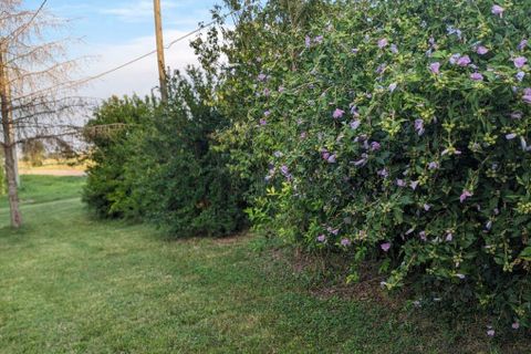 Villa a Torricella, Taranto, Torricella - € 210.000 | Ref: es5553790 - foto 18