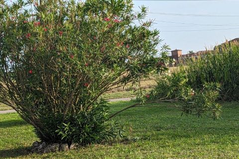 Villa a Torricella, Taranto, Torricella - € 210.000 | Ref: es5553790 - foto 21