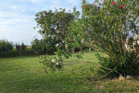 Villa a Torricella, Taranto, Torricella - € 210.000 | Ref: es5553790 - foto 25