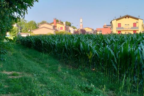 Helårsgrund i Trebaseleghe, Padua, Trebaseleghe - € 3.135.000 | Ref: es5553772aa - foto 1