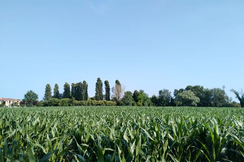 Helårsgrund i Trebaseleghe, Padua, Trebaseleghe - € 3.135.000 | Ref: es5553772aa - foto 3
