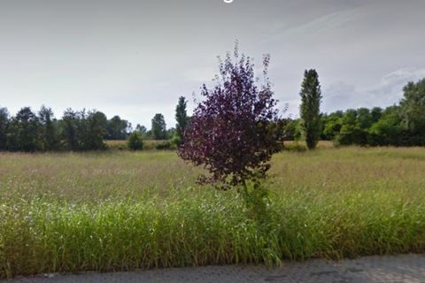 Helårsgrund i Trebaseleghe, Padua, Trebaseleghe - € 3.135.000 | Ref: es5553772aa - foto 6