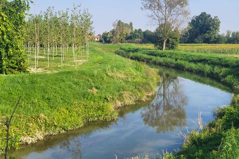 Helårsgrund i Trebaseleghe, Padua, Trebaseleghe - € 3.135.000 | Ref: es5553772aa - foto 16