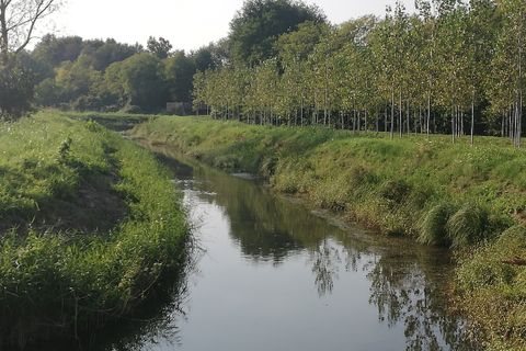 Helårsgrund i Trebaseleghe, Padua, Trebaseleghe - € 3.135.000 | Ref: es5553772aa - foto 21