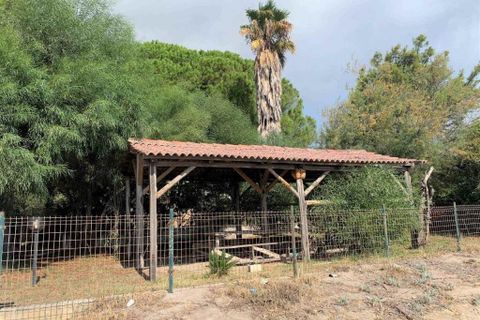 Villa i Simeri Crichi, Catanzaro, Simeri Crichi - € 440.000 | Ref: es5553752 - foto 15