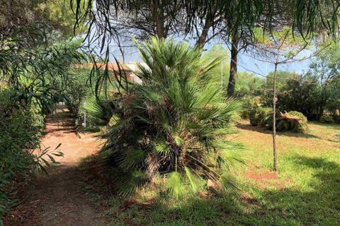 Villa i Simeri Crichi, Catanzaro, Simeri Crichi - € 440.000 | Ref: es5553752 - foto 18