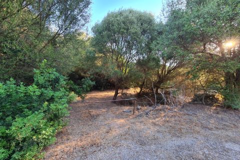 Helårsgrund i Sassari, Sassari, Sassari - € 490.000 | Ref: es5553473 - foto 3