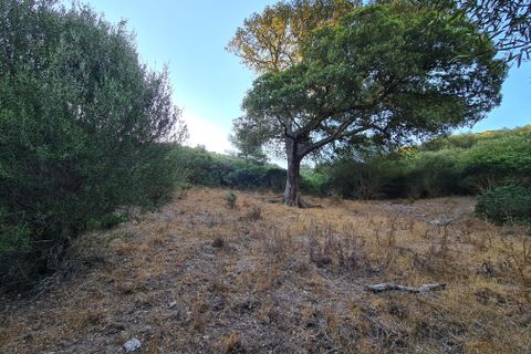 Helårsgrund i Sassari, Sassari, Sassari - € 490.000 | Ref: es5553473 - foto 5